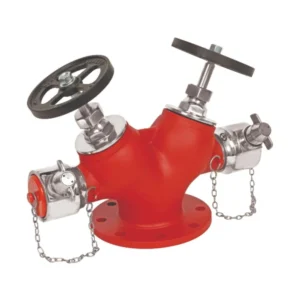 Newage Double Outlet Landing Valve (Fire Hydrant Valve, 100 mm Inlet)